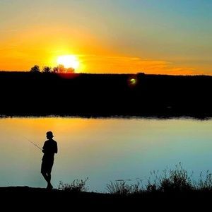 Meet your Posher, Jake